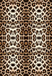 豹纹图案纹理设计素材