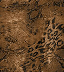 豹纹皮革纹理特写
