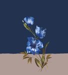 蓝色花卉插画 清新雅致