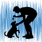 人与狗互动的温馨瞬间