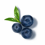 手绘蓝莓