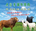 老蒙家牛羊肉 原生好滋味