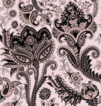 黑白佩斯利花纹精美图案