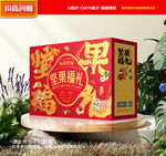 坚果包装 干果礼盒