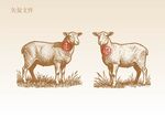 手绘羊素描插画版画
