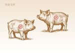 手绘猪