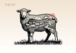 手绘羊插画版画