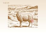 羊群插画