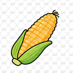 卡通玉米插画