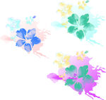 多彩水彩花卉图案