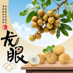  龙眼 