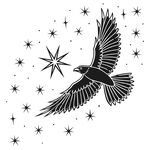 飞翔的鹰与闪耀星芒