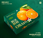 沃柑包装 蜜桔礼盒