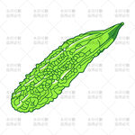 苦瓜插画