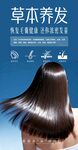 草本养发秀发飘逸动人