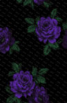 紫色玫瑰图案背景