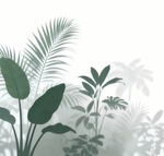 雾气磨砂膜效果绿植贴图