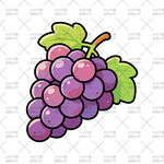 葡萄插画