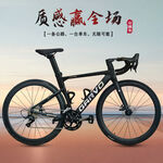 高端公路自行车