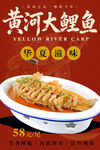 黄河大鲤鱼 