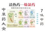 中药大全之清热燥湿药