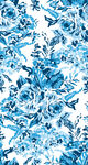 蓝白花卉图案纹理