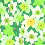 清新水仙花卉图案背景