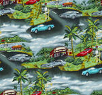 热带公路上的多彩汽车景观