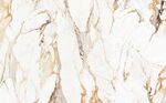 白色鱼肚金大理石石纹