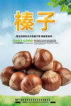 榛子
