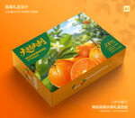 春见包装 桔子礼盒