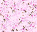 粉色烂漫樱花花卉背景图