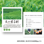 天心岩茶村武夷山茶叶卡片