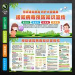 预防诺如病毒知识