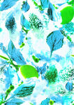 蓝绿清新植物水彩图案