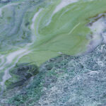 地板 新传简约石材 高端大图 