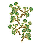 手绘绿植图案 矢量图