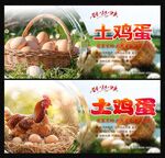 土鸡蛋