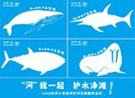 海洋生物插画海报展示