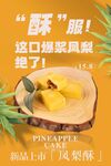 凤梨酥海报 