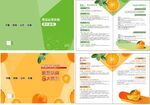 清新橙色水果宣传册设计
