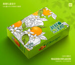 沃柑包装 芦柑礼盒
