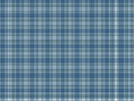 蓝色格子布