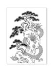 龙 松树图