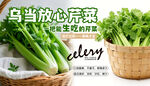 新鲜乌当空心菜 健康选择