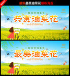 油菜花展板