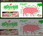 猪肉分割图