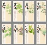 中式传统香料植物展示图
