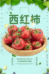 西红柿