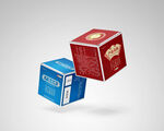 立方体盒子包装平面设计